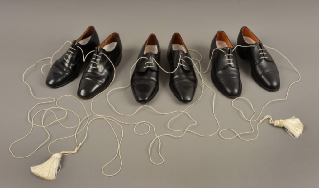 Chelsea Steinberg Gay In One World or the Other The Krakens A